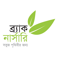 BRAC Nursery Chittagong