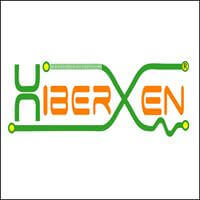 HiberXen Electronics