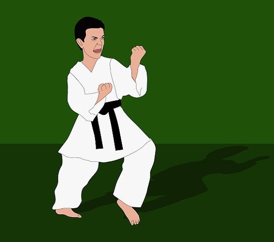 Bangladesh Taekwondo Black Belt Academy