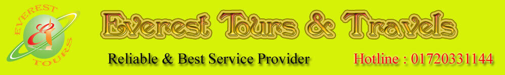 Everest Tours & Travels