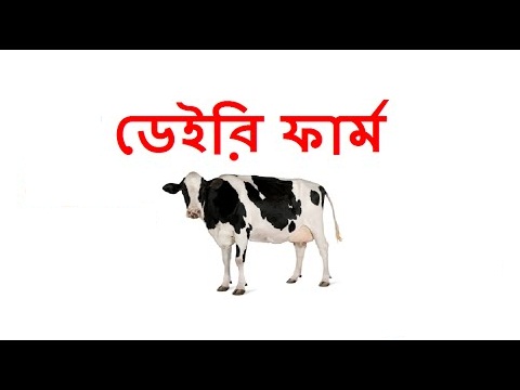 Salam Dairy Farm Bangladesh