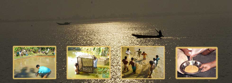 Bangladesh Fisheries Research Forum