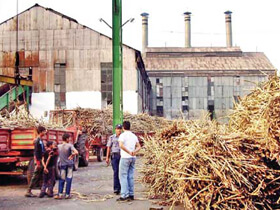 Rajshahi Sugar Mill Ltd.