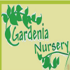 Gardenia Nursery