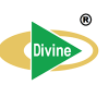Divine Group Limited
