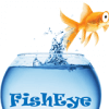 Fisheye communications