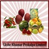 Globe Khamar Prokalpa Limited