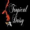 Tropical Daisy Hotel Dhaka