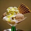 Dhaka Ice Cream Industries Limited