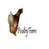 Anama Poultry & Dairy Firm
